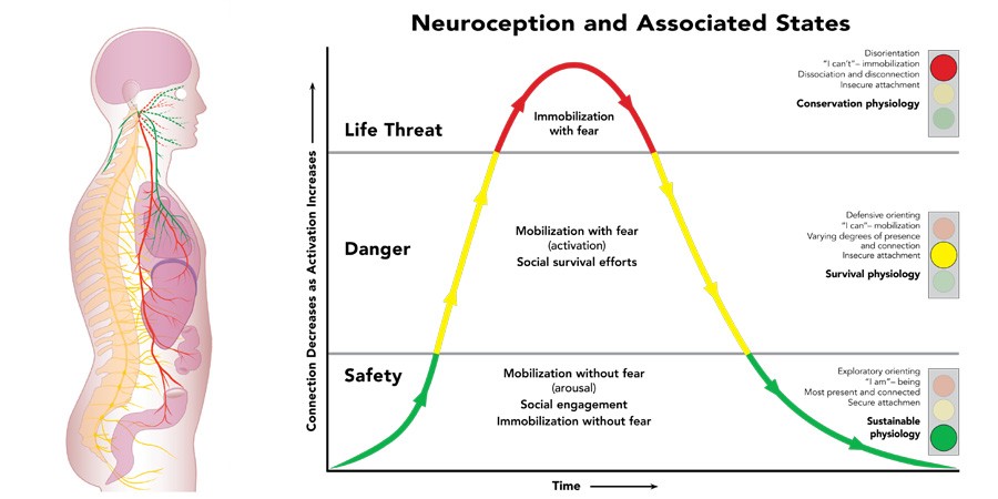 Ventral Vagus Healing & Craniosacral Therapy